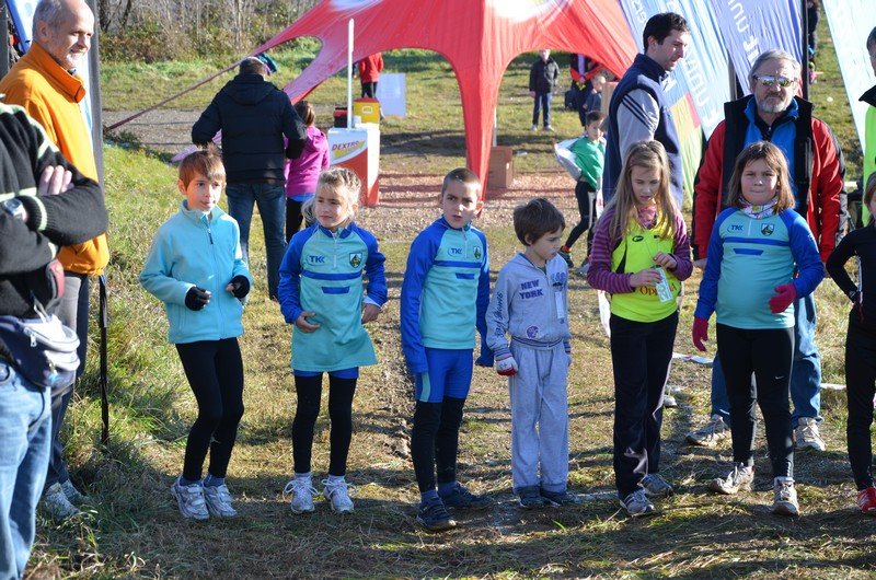 Tek Biljanski gri 269 i 043